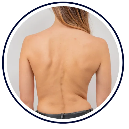 Gonstead Visualization